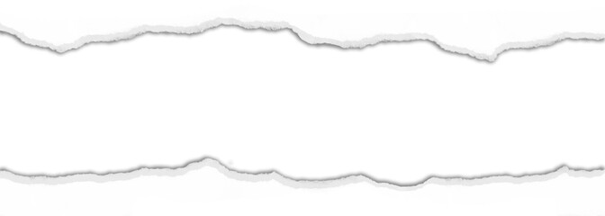 Fototapeta premium Realistic torn paper with shadow effect isolated on transparent background. 