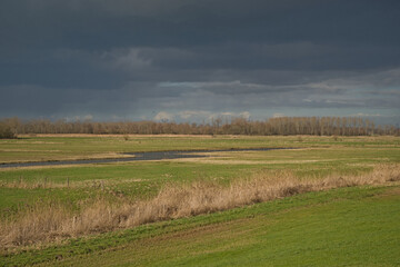Obraz premium Dark rain clouds over green meadows in a polder in the port of Antwerp. Kruibeke, Flanders, Belgium 
