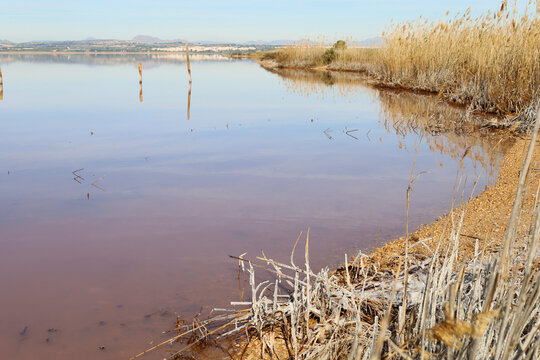 The Pink lake in Saltwater Lagoon in Parque Natural de las Salinas de Torrevieja