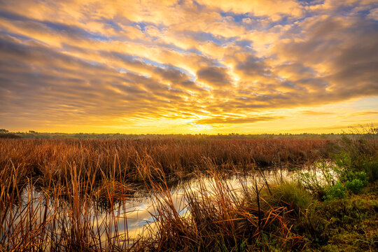 Sunrise and clouds over Lake Woodruff National Wildlife Refuge in Florida