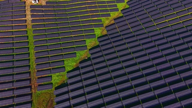 Rows of shining solar panels stretch across a vast field, capturing sunlight efficiently. The green landscape beneath supports the growing demand for clean energy.
