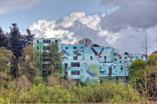 Oak Bottoms Refuge in Portland