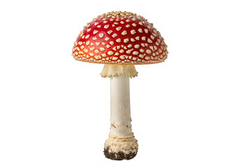 A red mushroom with white spots on a white background isolated on transparent background