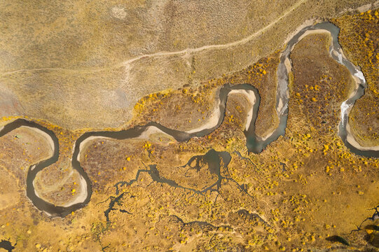 Golden Autumn Wetlands Aerial