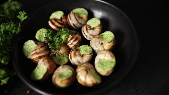 Escargot food green butter French cuisine food tasty snack fresh gourmet food background on the table rustic food top view copy space