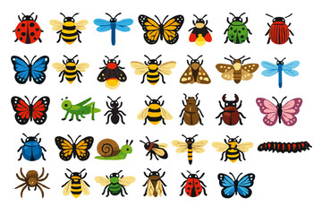 Fototapeta premium Many colorful insects displayed in a grid format showing different types and species for educational purposes