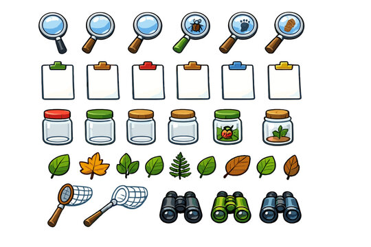 Nature exploration tools and materials used for outdoor activities in various locations