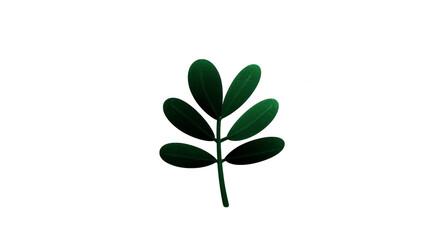 Fototapeta premium Green leaf isolated botanical nature plant foliage simple organic natural fresh minimal style on transparency background peaceful and clean design