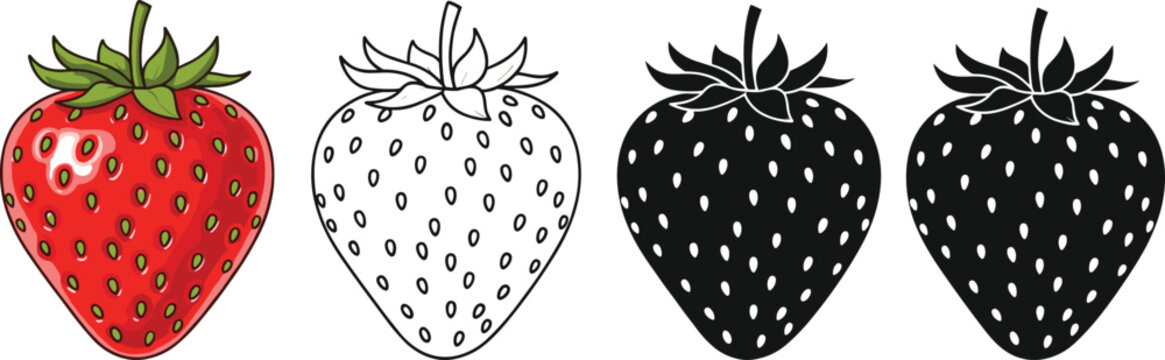 Red strawberry fruit with black and white silhouettes and line art cad drawing flat vector illustration for organic food design