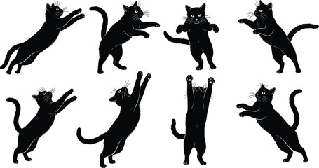 Collection of black cat silhouettes in various action poses including jumping, reaching, and playing for feline pet animal graphic design icons and ornaments © Junayid