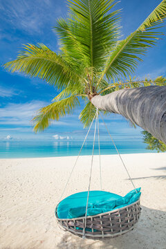 Picturesque vertical beach background. Immerse palm tree swing radiant ocean view amazing travel summer vacation destination tropical island paradise relaxation serene nature scenery outdoor wallpaper
