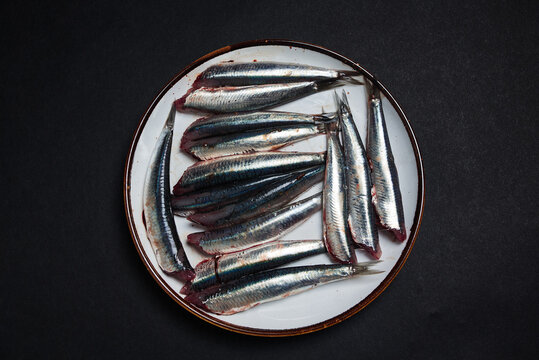 Fish, whitebait, anchovy, Engraulis encrasicolus. Blue fish. Black background, with copy.