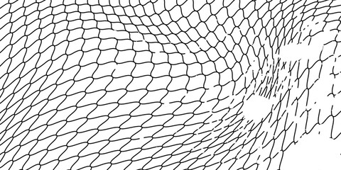Mesh texture for fishing nets. black and white Seamless pattern for sportswear or soccer goal, volleyball net, basketball hoop, hockey, athletics. Abstract net background for sports © SYAIFUL ANWAR