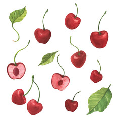 Watercolor red sour cherry set isolated. Hand drawn illustration