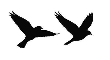 Obraz premium Two birds in flight captured as a striking black silhouette
