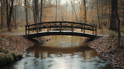 A Rustic Wooden Bridge Arches Gracefully Over a Gentle River Amidst a Tranquil Autumn Forest