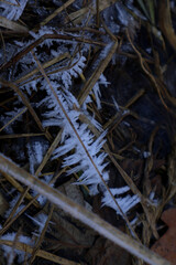 Macro Close Up of Sharp Ice Crystals and Hoarfrost on Dry Grass in Freezing Winter Nature