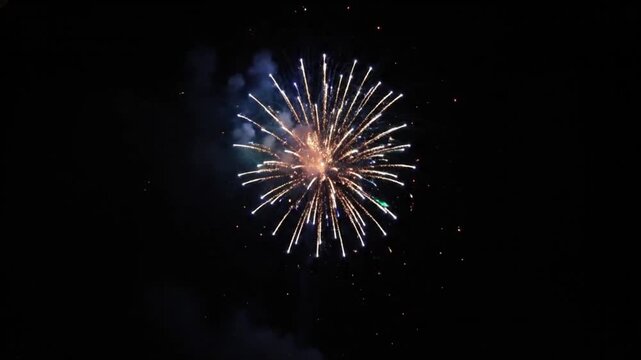A single bright red firework explodes with glowing trails of light against the dark night sky.