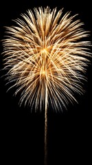 Fototapeta premium Golden fireworks explode with bright light against a dark night sky