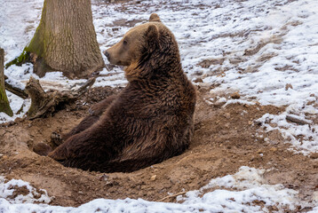 Fototapety na wymiar - Fototapeta24.pl