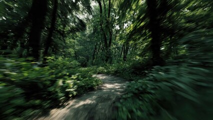 Fototapeta premium Forest path with motion blur