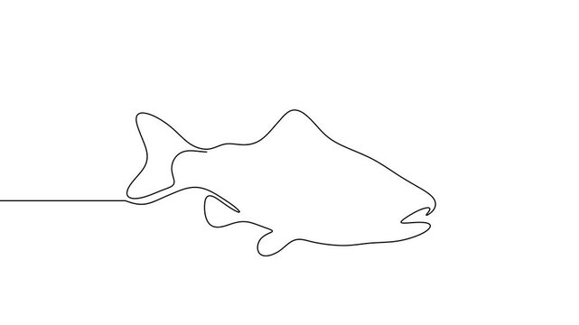 Salmon line fish continuous vector art icon tuna drawing trout seafood. Line fish salmon hand one simple outline illustration water type food hook linear sea fin pond day sketch silhouette logo ocean.