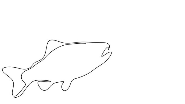 Salmon line fish continuous vector art icon tuna drawing trout seafood. Line fish salmon hand one simple outline illustration water type food hook linear sea fin pond day sketch silhouette logo ocean.