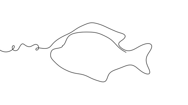 Salmon line fish continuous vector art icon tuna drawing trout seafood. Line fish salmon hand one simple outline illustration water type food hook linear sea fin pond day sketch silhouette logo ocean.