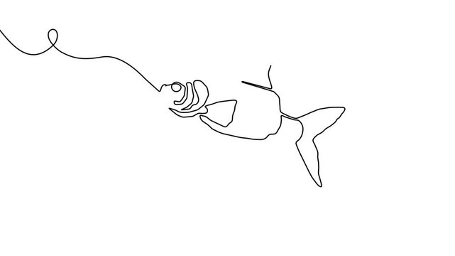 Salmon line fish continuous vector art icon tuna drawing trout seafood. Line fish salmon hand one simple outline illustration water type food hook linear sea fin pond day sketch silhouette logo ocean.