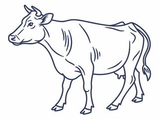 Fototapeta premium Simple line art illustration of a cow