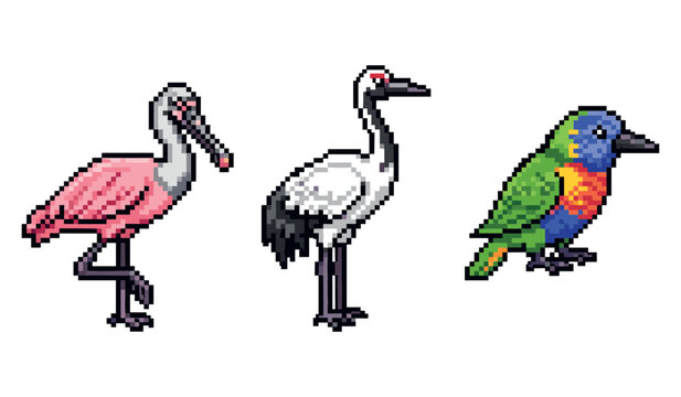 Pixel art trio of roseate spoonbill, whooping crane, and rainbow lorikeet