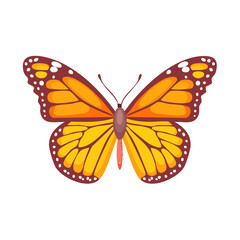 Obraz premium A vibrant butterfly, showcasing its elegant wings