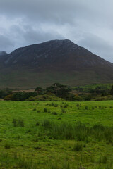 Irish hills landscape