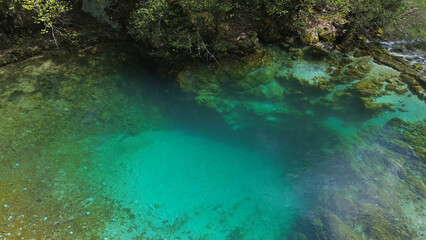 Obraz premium Turquoise spring water surrounded by lush green forest