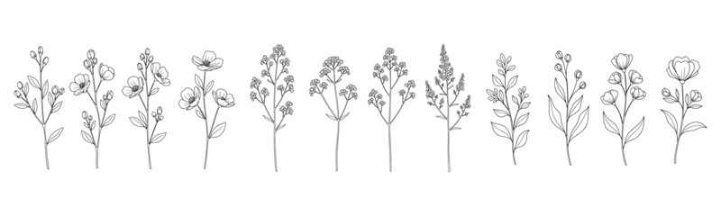 Fototapeta premium Elegant black and white line art of various flowers in seamless pattern
