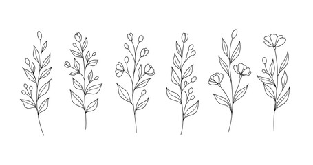 Elegant line art of six botanical stems with leaves and flowers