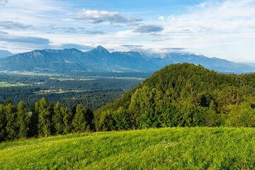 Obraz premium Idyllic summer afternoon view near the Saint Thomas Church, near Skofia Loka, in Slovenia.