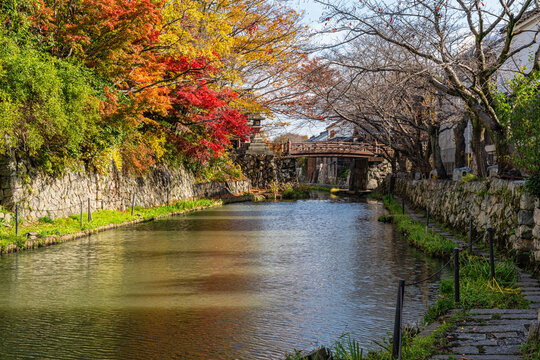 Scenic sight of Hachiman-bori canal in Omihachiman during fall season. Kansai region, Shiga Prefecture, Japan.