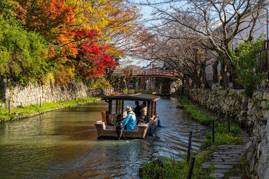Scenic sight of Hachiman-bori canal in Omihachiman during fall season. Kansai region, Shiga Prefecture, Japan.