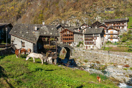 The beautiful village of Rassa, during fall season, in Valsesia (Sesia Valley). Province of Vercelli, Piedmont, Italy.