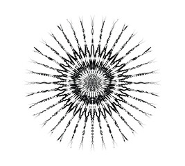 Fototapeta premium Black and white abstract radial pattern with dense center and radiating lines