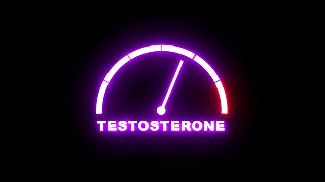 Testosterone level meter showing progress from beginner low pink zone to expert high red zone. Testosterone level speedometer gauge with low and high levels. 4k video animation