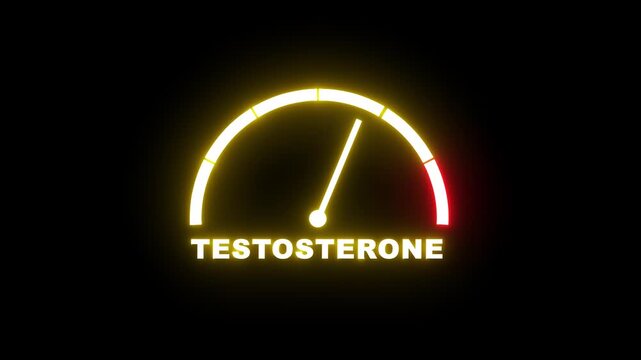Testosterone level meter showing progress from beginner low yellow zone to expert high red zone. Testosterone level speedometer gauge with low and high levels. 4k video animation