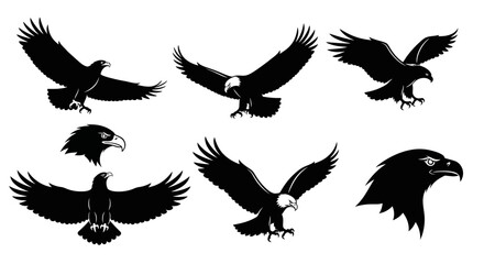 Obraz premium Eagle Silhouette Vector Collection