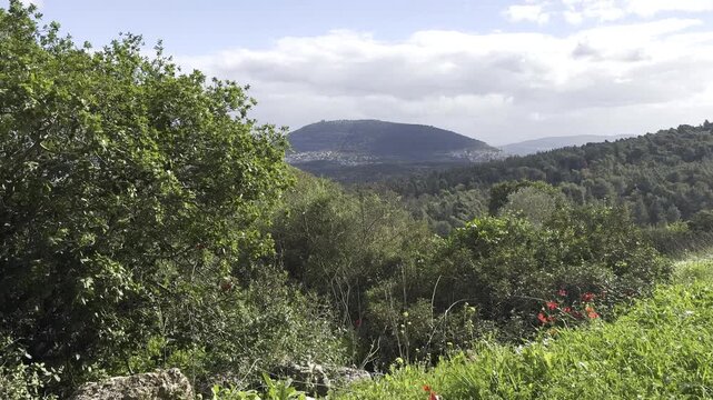 Mount Tabor seen through a ridge of stones, trees, and the valley in Beit Keshet nature reserve, Israel, during spring.