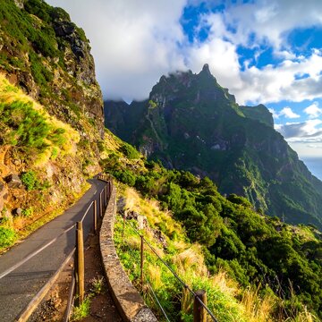 Mountain trail overlooking jagged peaks, with lush vegetation, and clear sky