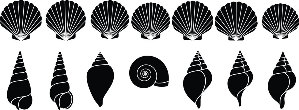 Seashell silhouette vector illustration, marine mollusk shell collection, ocean nature graphics, black and white drawing - flat vector illustration