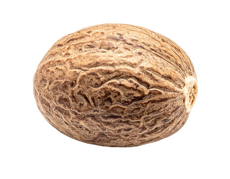 Close-up of a single nutmeg seed isolated on a white background.