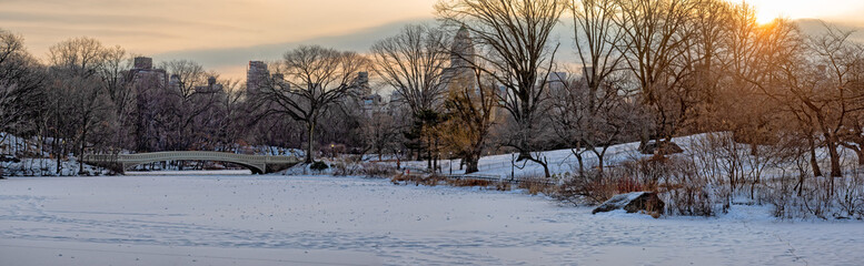 Fototapeta premium Central Park, New York City at the lake, Bow Bridge