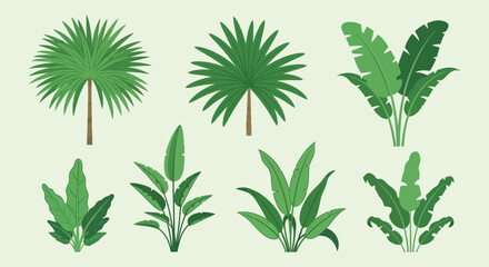 A vibrant collection of tropical palm and banana leaves displayed against a soft green backdrop silhouette high quality professional detailed modern © mrvect02
